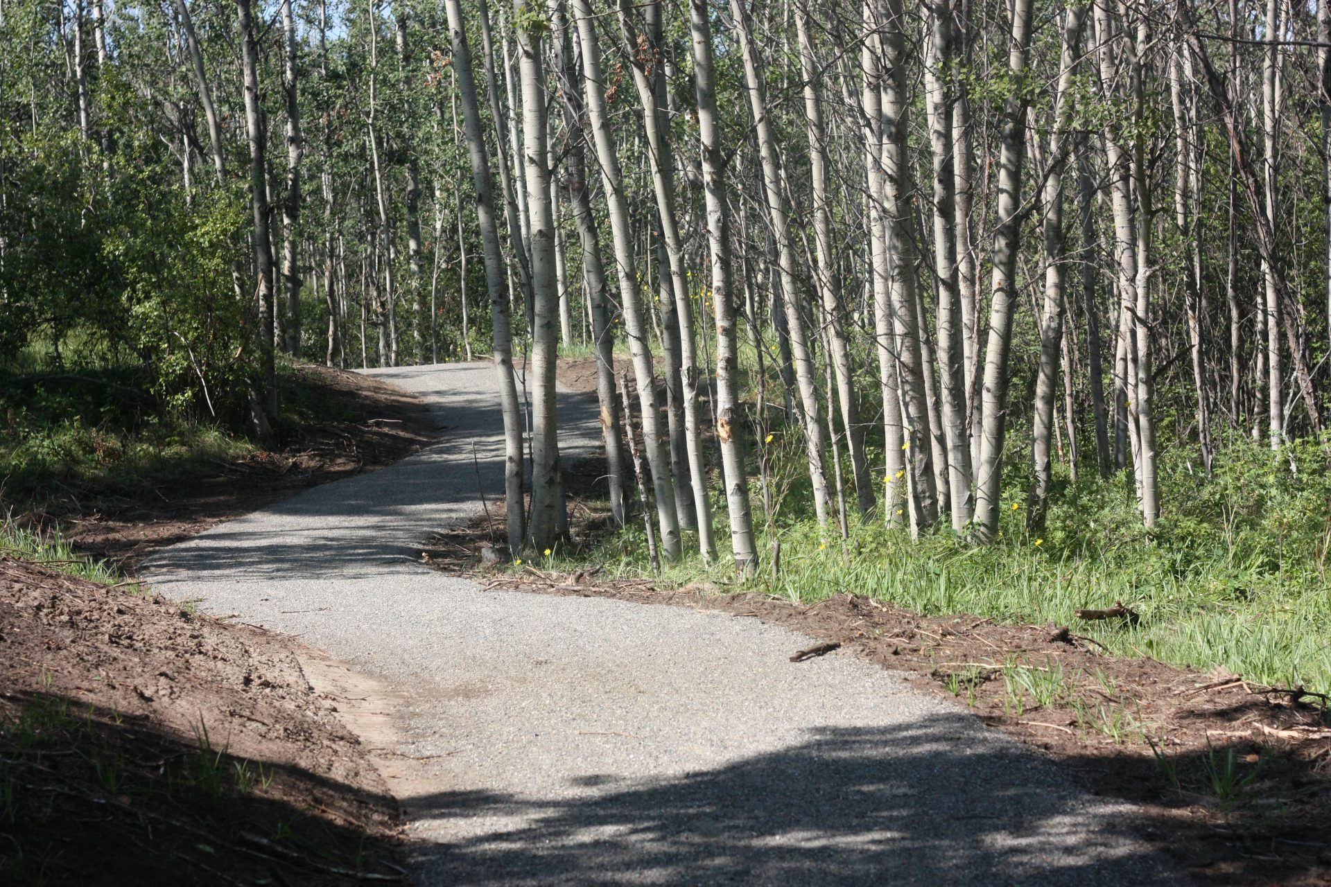 CRD Unveils New Accessible Trail in 108 Mile Ranch