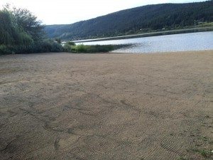 Scout Island Poop Crew 5