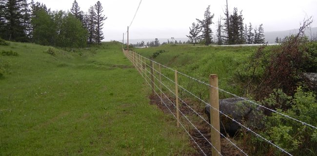 Provincial Livestock Fencing Program Extended, Fences Installed in South Cariboo