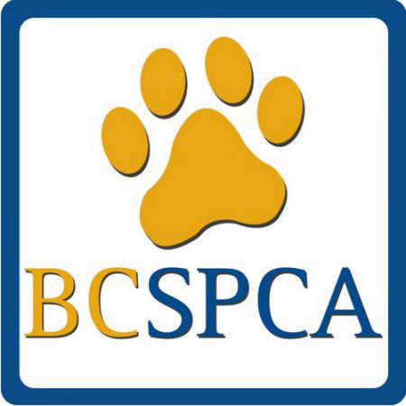 SPCA Seizes Animals from Horsefly Property