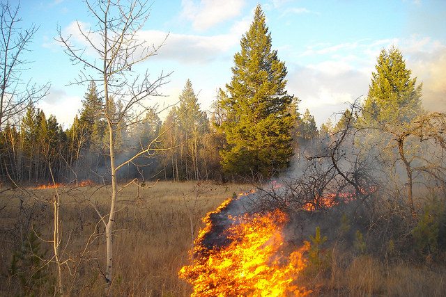 Category 3 Fires Once Again Allowed in the Cariboo