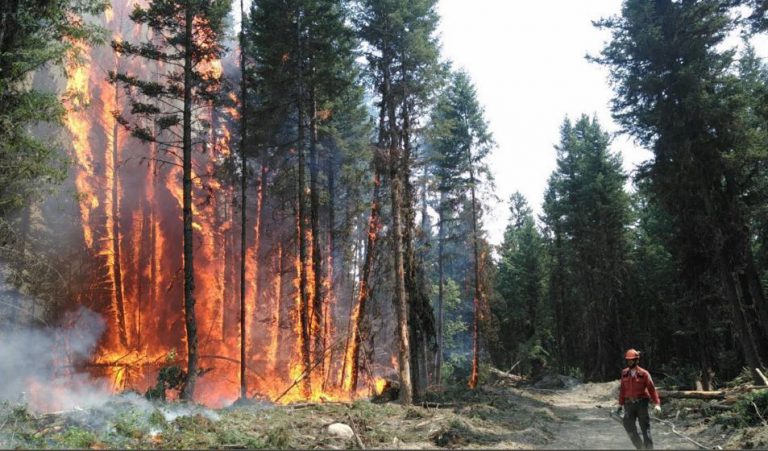 BC Wildfires Update: Monday, July 17