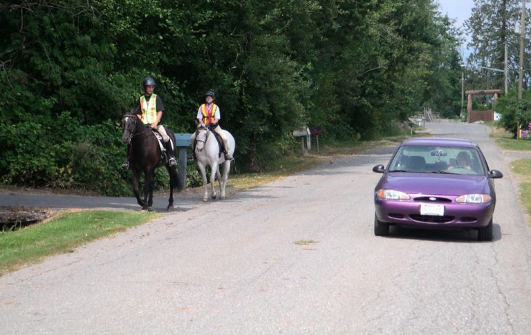 Drivers Should Expect More Horses and Riders on the Roads