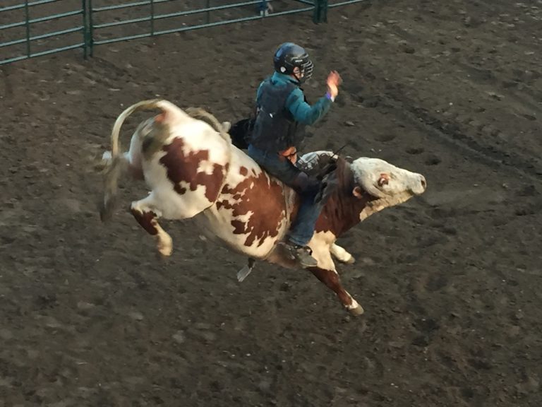 New Start Date Set For This Years Williams Lake Stampede