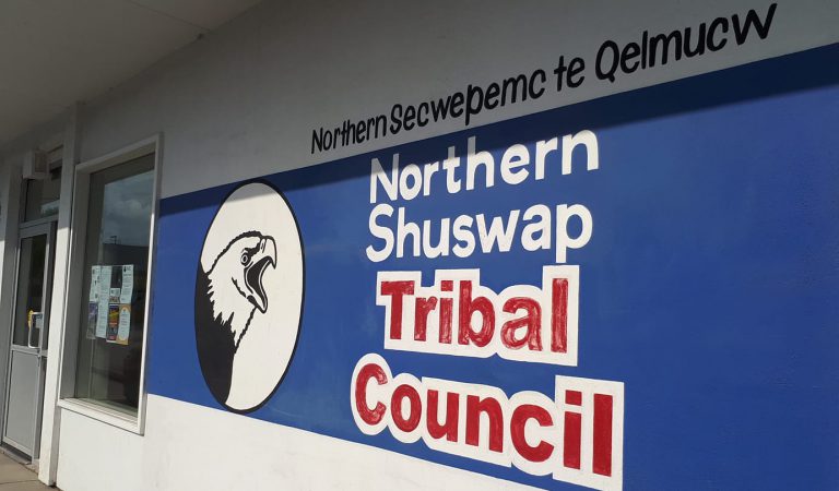 Northern Secwepemc communities hoping to take part in aerial wildlife surveys 