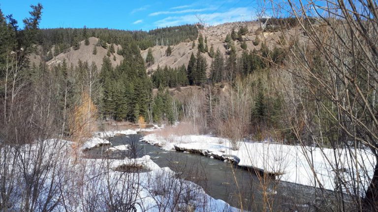 Staff to monitor existing powerline in Williams Lake River Valley after powerline relocation project scrapped