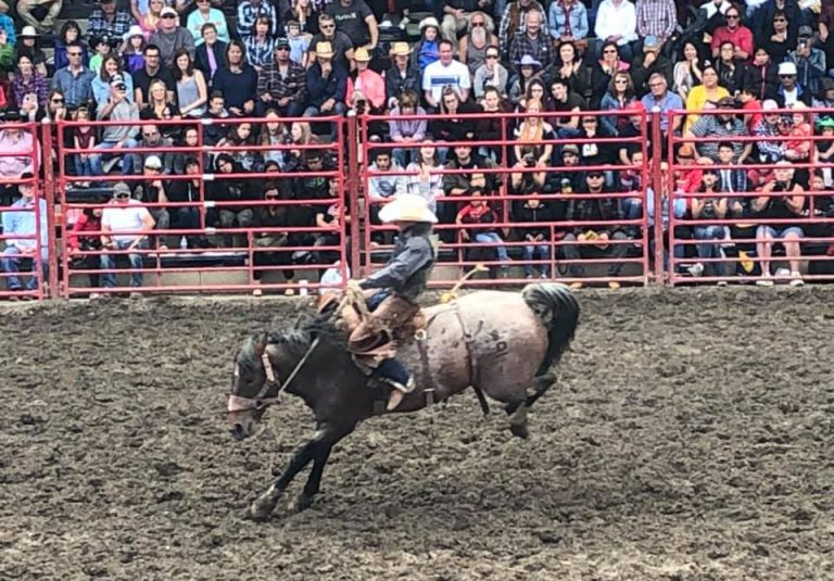 2020 Williams Lake Stampede cancelled due to coronavirus pandemic