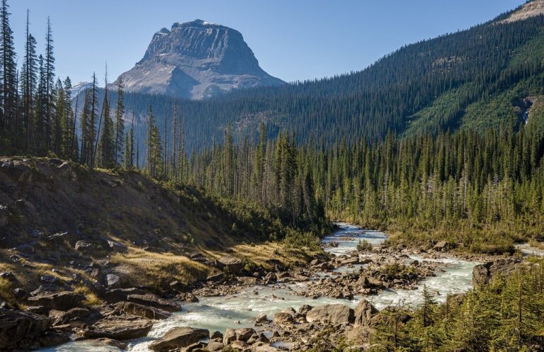 British Columbia Tourism Program Receives an Award
