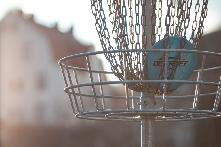 Disc Golf Course Looking to Come to Boitanio Park in Williams Lake