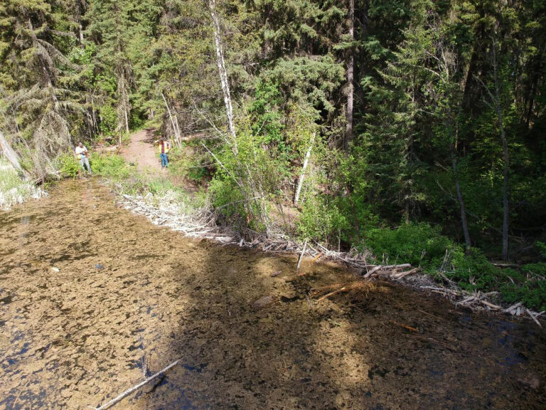 City of Williams Lake Continues to Monitor Beaver Dam Water Levels