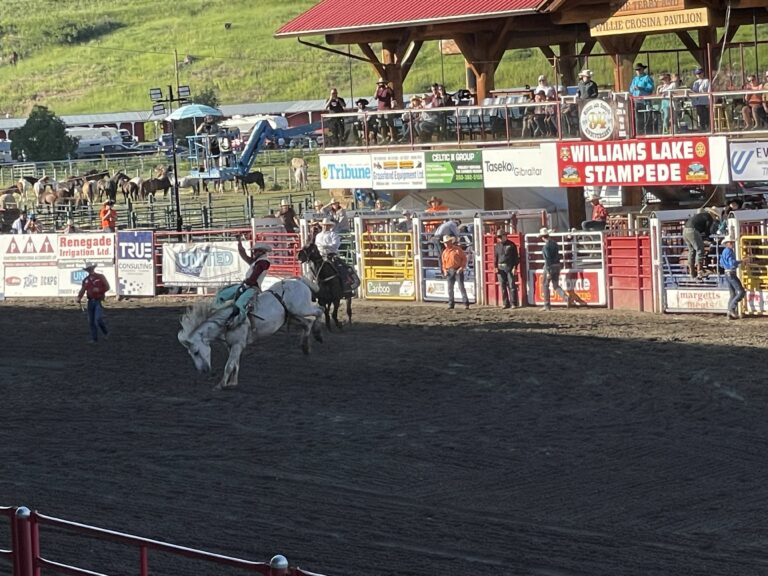 A Look Inside This Afternoons Williams Lake Stampede Rodeo