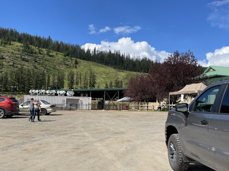 Williams Lake and District 4-H Show and Sale is Back