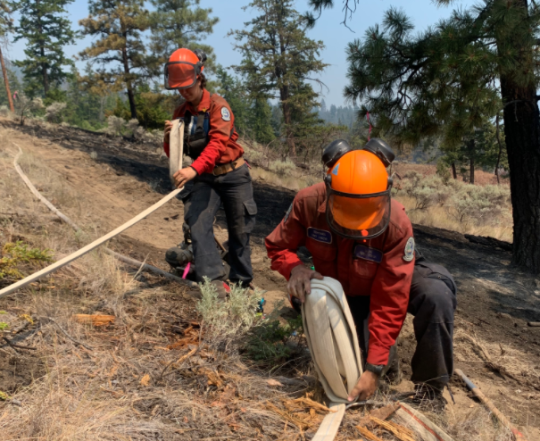 Williams Lake Community Forest to have prescribed burn this weekend