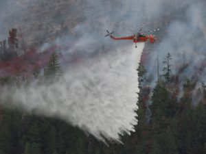 There are two new wildfires burning in the Quesnel fire zone