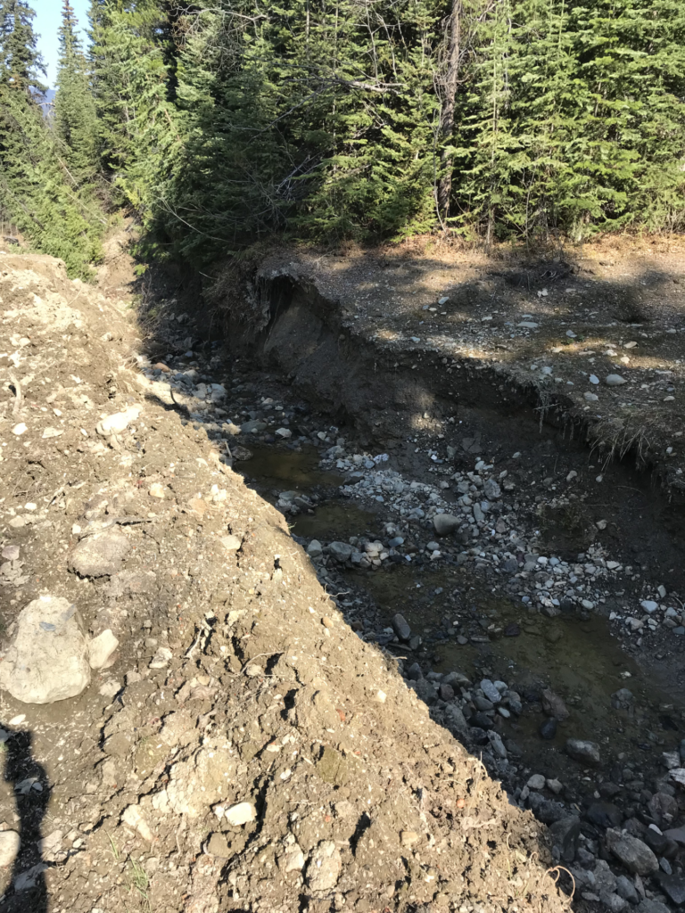 Local State of Emergency has been declared in Wells