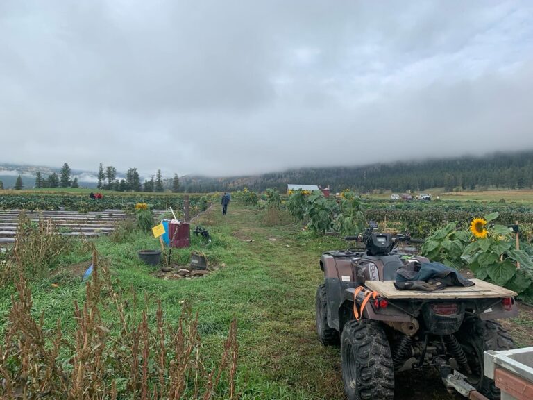 Labour Of Love Benefits Many Local Organizations