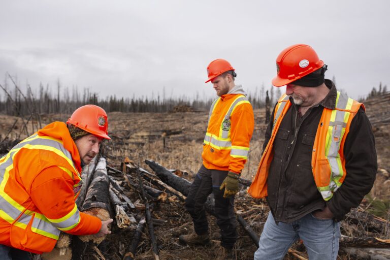 Rehabilitation Pilot Project Now Half Complete On The Elephant Hill wildfire Area At Pressy Lake