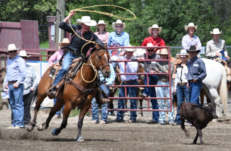 Six Quesnel Rodeo Competitors Named National Qualifiers in BC High School Rodeo